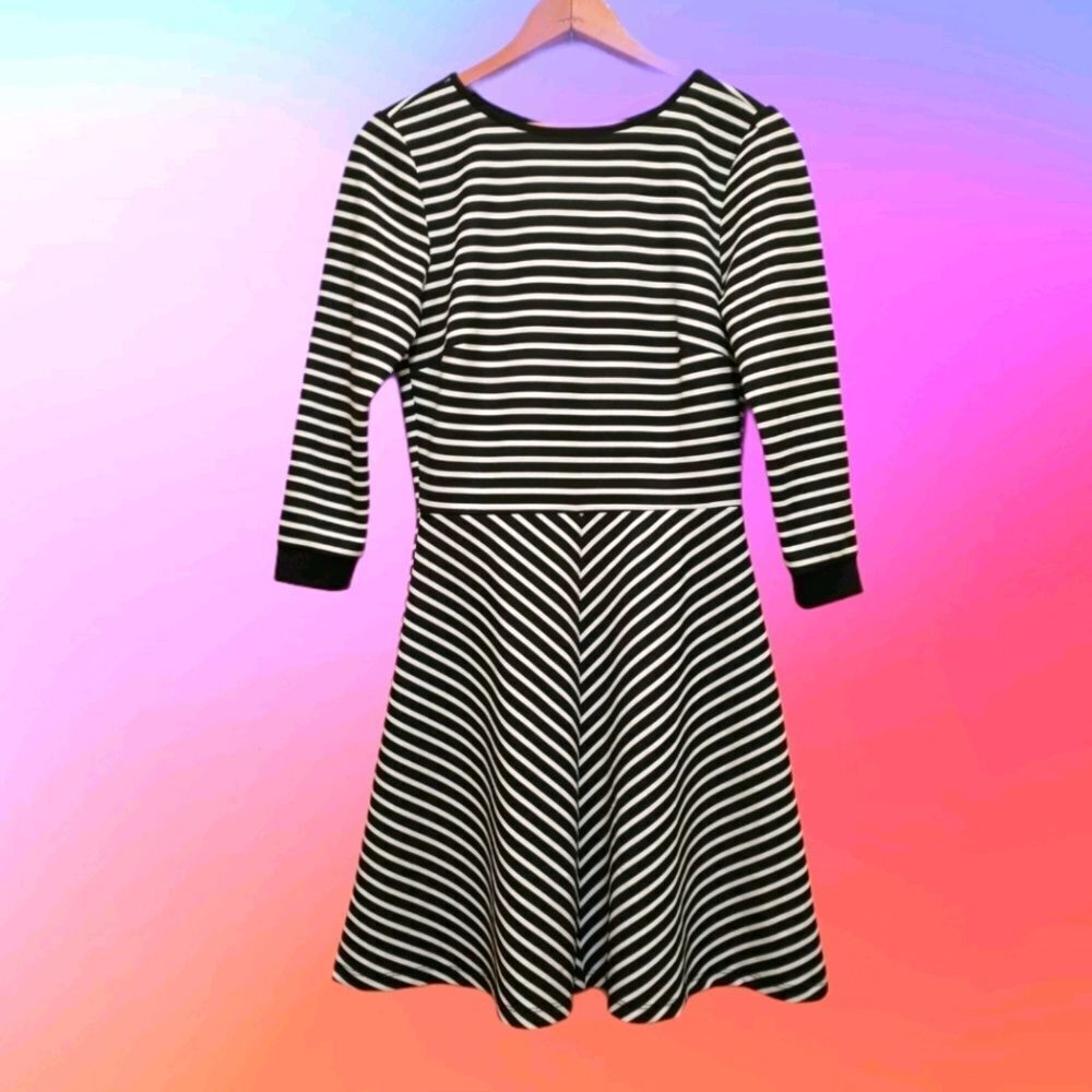 Blue Rain Skater Dress, Black and White Stripe, Fit and Flare, Circle Skirt NWOT